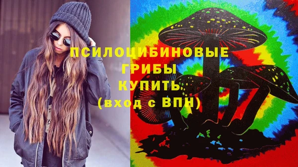 меф Медвежьегорск