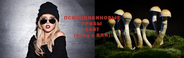 меф Медвежьегорск