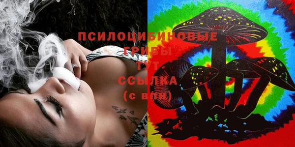 спиды Медногорск
