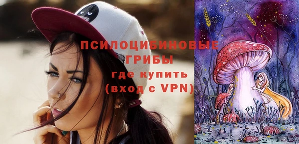 спиды Медногорск
