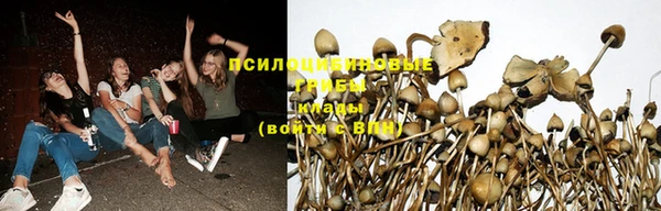 а пвп мука Михайловка