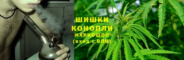 спайс Мегион